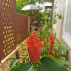 2* Inn De​ Lanta Place